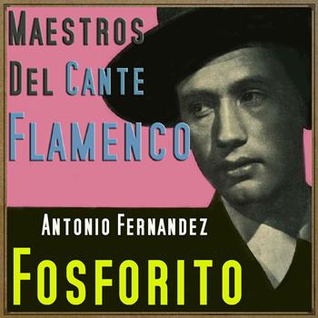 Fosforito - Maestros del Cante Flamenco