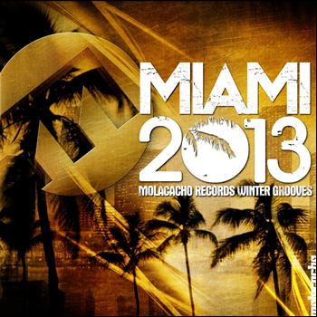 Various Artists - Miami 2013 Winter Grooves (Explicit)