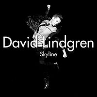 David Lindgren - Skyline [Acoustic Version] (Acoustic Version)