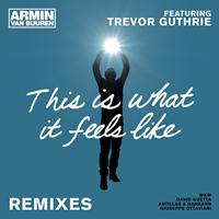 Armin van Buuren feat. Trevor Guthrie - This Is What It Feels Like (Remixes)