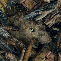 Hessian A.D. - Manegarmr