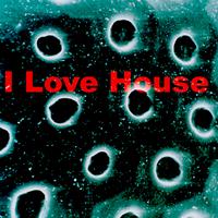 Dj Paul Pritchard - I Love House