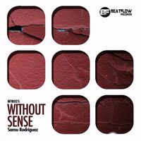 Samu Rodriguez - Without Sense