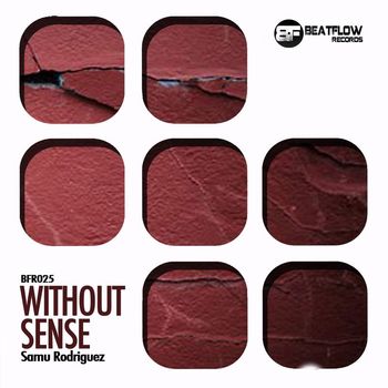 Samu Rodriguez - Without Sense
