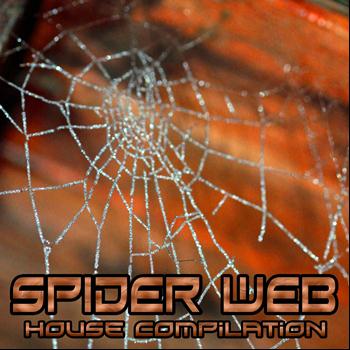 Various Artists - Spider Web (House Compilation)
