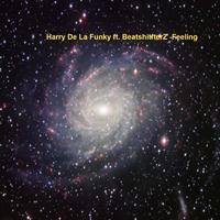 Harry De La Funky - Feelings
