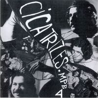 MPB4 - Cicatrizes