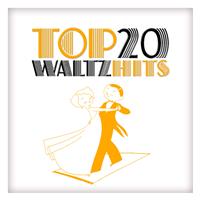 Gran Orquesta Vienesa - Top 20 Waltz Hits