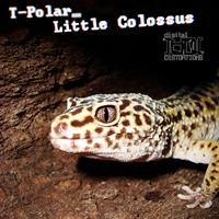 T-Polar - Little Colossus