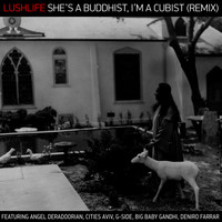 Lushlife - She's A Buddhist, I'm A Cubist (Remix)