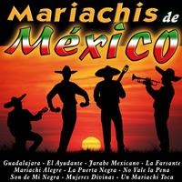 Orlando y Sus Mariachis - Mariachis de México