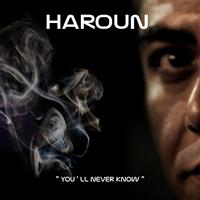 Haroun - You'll Never Know
