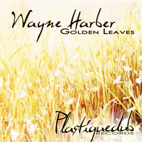 Wayne Harber - Golden Leaves