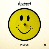 Flashmob - Pieces (feat. Laila Walker)