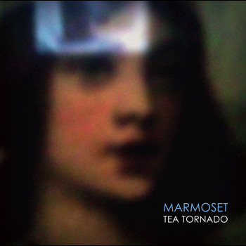 Marmoset - Tea Tornado