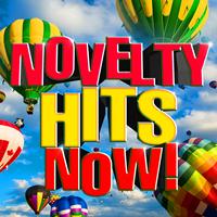 Super Hot Masters - Novelty Hits Now!