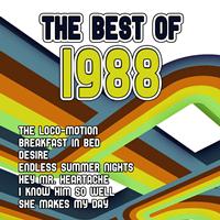 Dj in the Night - The Best of 1988