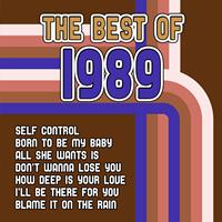 Dj in the Night - The Best of 1989