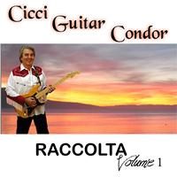 Cicci Guitar Condor - Raccolta, Vol. 1