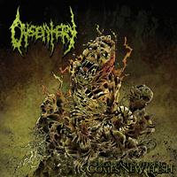 Dysentery - From Past Suffering Comes New Flesh