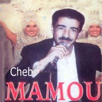 Cheb Mamou - Chira sghira