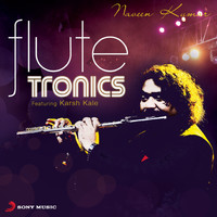 Naveen Kumar - Flutetronics