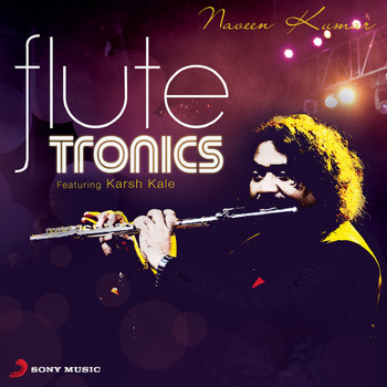Naveen Kumar - Flutetronics
