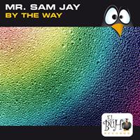 Mr. Sam Jay - By The Way