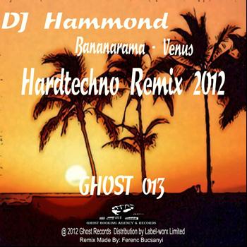 Bananarama - Venus (DJ Hammond Hardtechno Remix 2012)