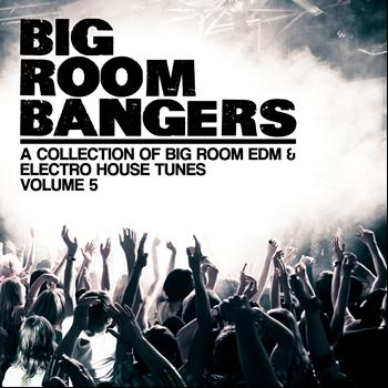 Various Artists - Bigroom Bangers, Vol. 5