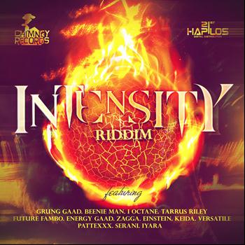 Various Artists - Intensity Riddim