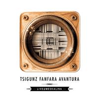 Tsigunz Fanfara Avantura - Live at Meskalina