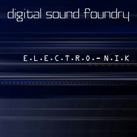 Digital Sound Foundry - E.L.E.C.T.R.O. - N.I.K.