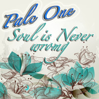 Palc One - Soul Is Never Wrong