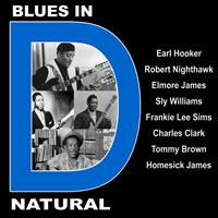 Various Artists - Blues in D Natural With Earl Hooker, Robert Nighthawk, Elmore James, Sly Williams, Frankie Lee Sims, Charles Clark, Tommy Brown and Homesick James