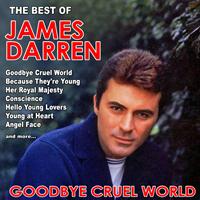 James Darren - Goodbye Cruel World: The Best of James Darren