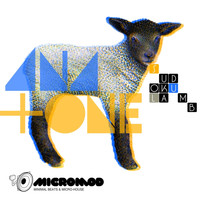 ana+one - Sudoku Lamb