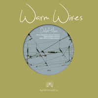 Delph Meer - Warm Wires