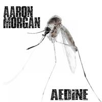 Aaron Morgan - Aedine
