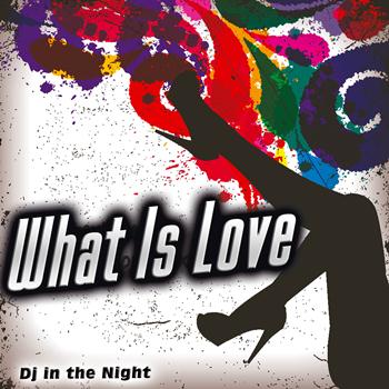 Dj in the Night - What Is Love - Single