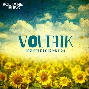 Various Artists - Voltaik 5.0