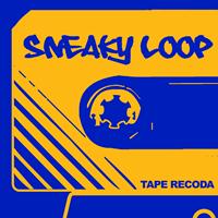 Samuel Tegaro - Sneaky Loop