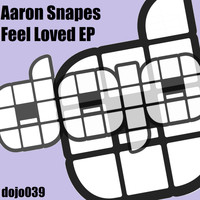 Aaron Snapes - Feel Loved EP
