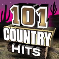 Rebel Rock Heroes - 101 Country Hits