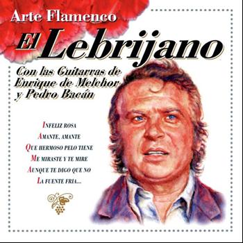 El Lebrijano - Arte Flamenco : El Lebrijano