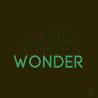 Audio Junkies - Wonder