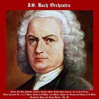 J.S. Bach Orchestra - Ave Maria for Organ - Ellen's Gesang III, Op. 56, No. 6, D. 839