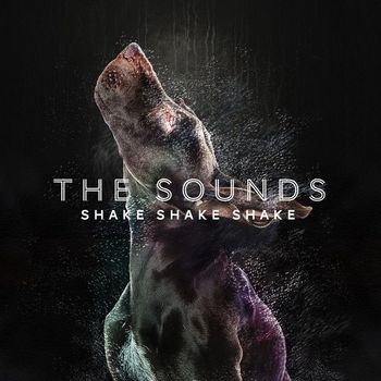The Sounds - Shake Shake Shake