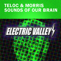 Teloc & Morris - Sounds of Our Brain