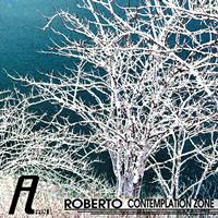 Roberto - Contemplation Zone